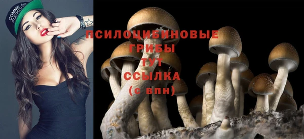 бошки Кукмор