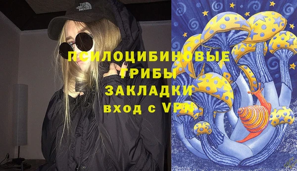 амф Краснослободск