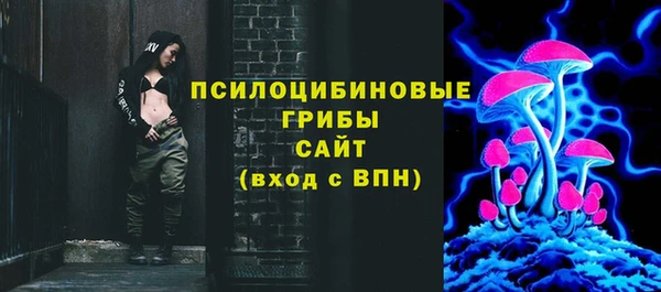 амф Краснослободск
