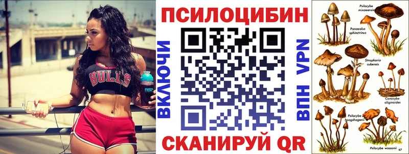 Галлюциногенные грибы GOLDEN TEACHER  Купить  Ядрин 