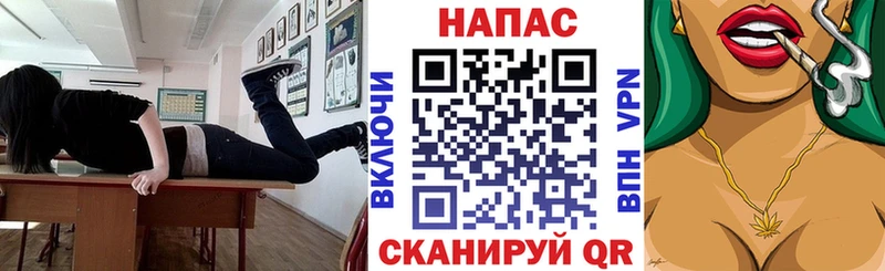 Купить закладки  Ядрин  Конопля сатива 